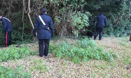 Macerata, continuano i servizi di prevenzione dei carabinieri nei pressi delle scuole