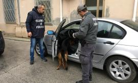 Finanza all'Hotel House: arresti, denunce e sequestri