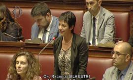 Rachele Silvestri: "Ascoli si riappropri dei reperti della necropoli Longobarda di Castel Trosino"