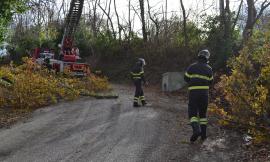 Vento forte, Vigili del Fuoco a lavoro su alberi e strade