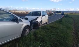 Frontale tra due auto sulla Provinciale 485: due persone trasportate in Ospedale (FOTO)