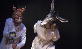 Tolentino, torna la rassegna "A teatro con mamma e papà": si parte domenica con "Sogno"