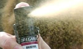 Civitanova, rapina una macelleria con una bomboletta spray e si dilegua