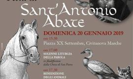 Civitanova, torna la tradizionale festa di Sant'Antonio