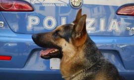 Macerata, massicci controlli della Polizia: rinvenuta droga gettata a terra in un bar