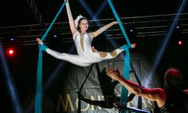 Musica e Circo. A Tolentino in arrivo Mortimer Circus
