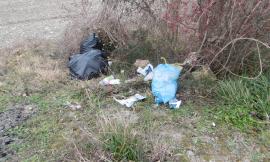 San Severino, discarica a cielo aperto ai Granali (FOTO)