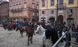 Grande festa a Tolentino per Sant'Antonio Abate, protettore degli animali. (FOTO)