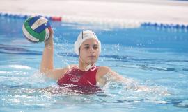 Pallanuoto, sfida al vertice per la NPN Tolentino: domenica arriva Cosenza