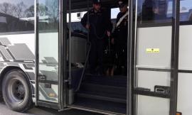 Stretta dei Carabinieri contro il consumo di sostanze stupefacenti tra i giovani