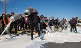 La protesta del latte arriva nel Fermano: nel pomeriggio gli allevatori sardi saranno lungo la Mezzina