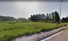 Civitanova, La petizione: un parco naturalistico-scientifico per via Nelson Mandela