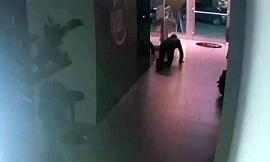 Civitanova, furto nella palestra Noi.5. I titolari inseguono il ladro (FOTO)
