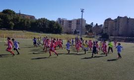 Cluentina calcio, grande successo per la festa dello sport con il Pescara