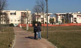 Ritrovamento di polpette a Civitanova. "Nessuna presenza di sostanze velenose"