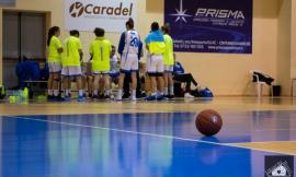 Basket, la Feba Civitanova perde in casa contro Faenza e interrompe la striscia positiva
