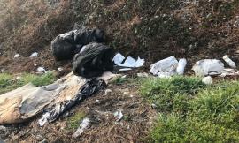 Tolentino, continua l'abbandono dei rifiuti nelle piazzole della SS77