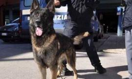 Macerata, spacciatore fugge e abbandona la droga: controlli al parco Fontescodella