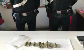 50 grammi di marijuana nelle mutande: denunciato un 19enne maceratese