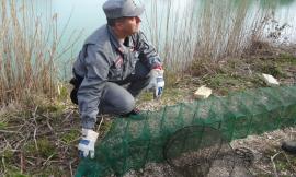 Montecosaro, pesca di frodo: sequestrate tre nasse