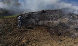 San Severino, agricoltore genera incendio coi residui della potatura degli ulivi: in fiamme 400 metri quadri di bosco