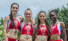Avis Macerata, "43^ Festa dell'Atleta": premiati i protagonisti della stagione agonistica 2018
