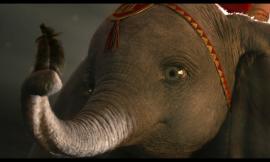Civitanova, cosa vedere al cinema nei prossimi giorni: al Rossini arriva "Dumbo"