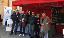 Giornate FAI di Primavera 2019: il bilancio della delegazione di Macerata