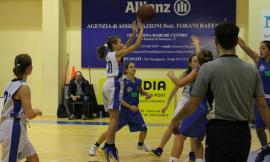 La Feba Civitanova Marche ospita l'Andros Palermo