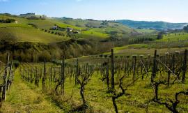 "Prima, durante e dopo Raci": due incontri alla scoperta del valore del cibo e del vino contadino nella storia
