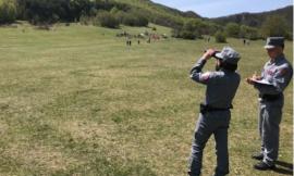 Carabinieri Forestali, rafforzamento della sorveglianza nelle aree naturali in occasione del 1° maggio
