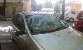 Macerata, diverse auto vandalizzate nella notte