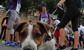 Domenica 26 maggio torna la "Stramacerata": l'orario di ritrovo