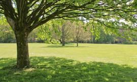 Tolentino, affidata al Comitato Viale Vittorio Veneto la manutenzione del Parco della Rinascita