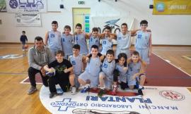 La Picchio Basket di Civitanova vince il campionato esordienti