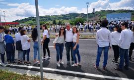 Tolentino, “#200infinito”: flash mob del "Filelfo" dedicato all'Infinito di Leopardi