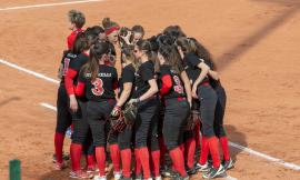 Continua la serie positiva del Macerata softball:  abbattuta la Dynos Verona