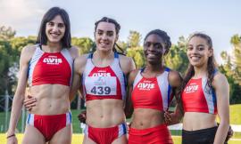 L'Atletica Avis Macerata vince i campionati marchigiani e vola alle finali nazionali (FOTO)