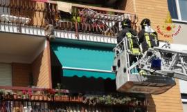 Macerata, cane rischia di precipitare dal balcone: recuperato dai Vigili del Fuoco