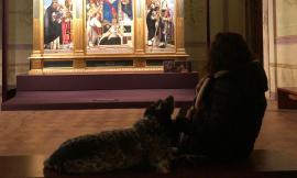 A Recanati musei Dog Friendly