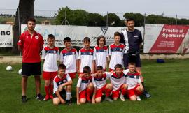 Treia, Memorial Bibini don Guido 2019: ecco vincitori e classifica finale (FOTO)