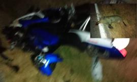 Paura sulla statale: cinghiale travolge giovane motociclista (FOTO)