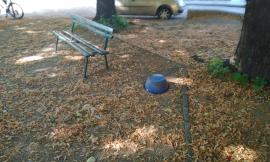 Macerata, la denuncia di una cittadina: "Piazzetta di via Pace abbandonata al degrado" (FOTO)
