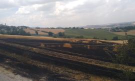Vasto incendio di sterpaglie a Pollenza: Vigili del Fuoco in azione (FOTO)