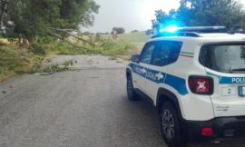 San Severino, i danni causati dal maltempo: alberi e rami caduti su diverse strade