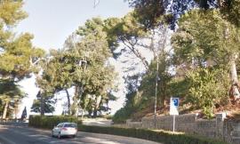 Recanati, abbattimento di piante pericolose: chiusa al transito Via Colle dell’Infinito