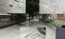 LA SEGNALAZIONE - Macerata, Pantana: “Viale Puccinotti pericoloso, urge messa in sicurezza” (FOTO)