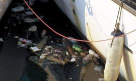Plastica, cassonetti ed eternit: dal mare alla collina Civitanova fa i conti con i rifiuti abbandonati (FOTO)