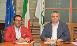 Legge contro l'uso dei prodotti in plastica monouso, Bisonni: "Dobbiamo prevenire"