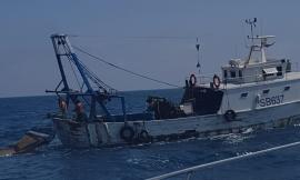 Civitanova, viola il divieto di pesca a "strascico": sanzionato un peschereccio